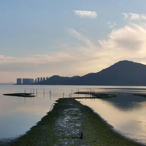 俄罗斯ree性ⅩXXHD
